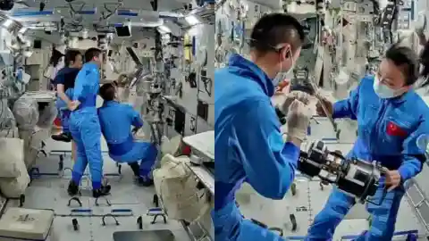 太空水稻采样成功