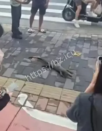 广州公交站