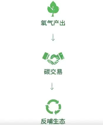河源紫金村卖空气创收